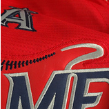 Los Angeles Angels (73)