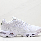 100_Nike_Air_Max_PlusNikeTN_1996_718071_193