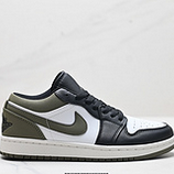 110_Nike_Air_Jordan_1_Low_AJ11_553558_092