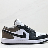 120_Nike_Air_Jordan_1_Low_AJ11_HF1567-200
