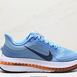 120_Nike_Pegasus_Premium_FD2526-108