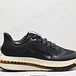 120_Nike_Pegasus_Premium_FD2526-108