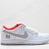 125_Nike_Dunk_Low_Dunk_SBDunk_313170-601