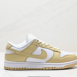 160_NIKE_DUNK_LOW_DD1873-600