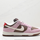 160_NIKE_DUNK_LOW_DD1873-600