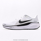 180_NK_Air_Zoom_Pegasus_41_41_FV2722-001_14314763835063