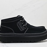 260_UGG_Hayden_1158276