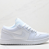 80_Nike_Air_Jordan_1_Low_AJ11_553558_066