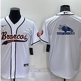 Broncos (208)