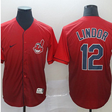 Cleveland Indians (28)