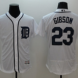 Detroit Tigers (14)