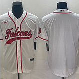 Falcons (100)