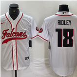 Falcons (133)
