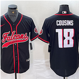 Falcons (137)