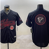 Falcons (153)