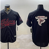Falcons (156)
