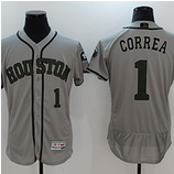 Houston Astros (31)