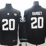 Jaguars (21)