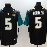 Jaguars (7)