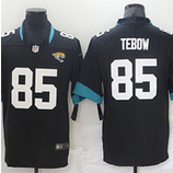 Jaguars (82)